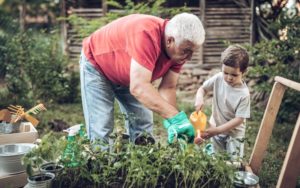 Grandfather and grandson working in garden