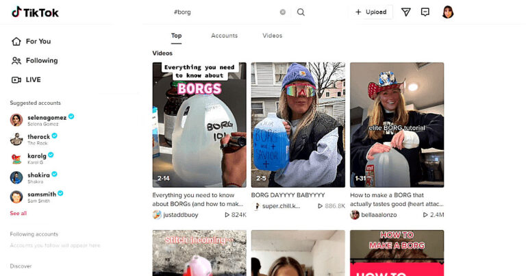 BORG is an alcoholic drink made in a jug.
