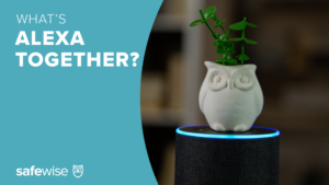 What Is Alexa Together video thumbnail